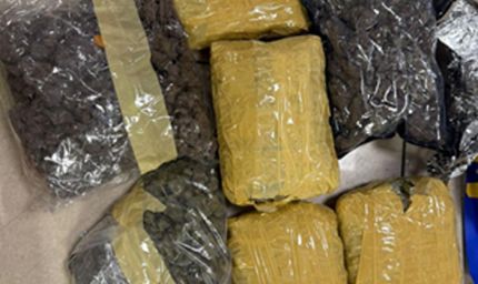 मुंबई एयरपोर्ट पर कस्टम्स का बड़ा ऑपरेशन, 33.42 किलो हाइड्रोपोनिक वीड जब्त