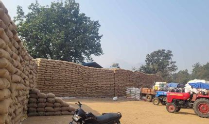 बफर लिमिट पार, मिलर नहीं उठा रहे धान, खरीदी केंद्रों पर संकट