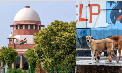 ‘मानवता क्या है, यह हम बताएंगे’—आवारा कुत्ते मामले में कोर्ट की सख्त टिप्पणी