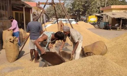 धान खरीद में नया रिकॉर्ड: 4 लाख से अधिक किसानों से खरीदा गया 25 लाख मीट्रिक टन धान