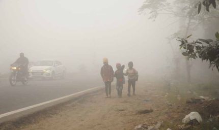 हरियाणा-पंजाब में शीतलहर का प्रकोप, चंडीगढ़ समेत कई इलाकों में घना कोहरा