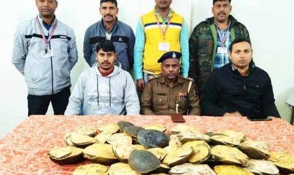दून एक्सप्रेस में कछुआ तस्करी का पर्दाफाश, 48 जीवित कछुए बरामद