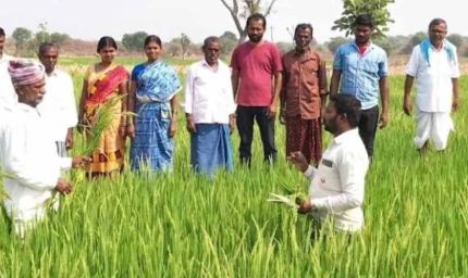 10 दिन में 6.98 लाख किसानों को किया गया प्रशिक्षित