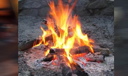 नए साल पर झटका: टाइगर रिज़र्व के रिसॉर्ट्स और होटलों में अब नहीं जलेगा अलाव, सुप्रीम कोर्ट ने लगाया रोक