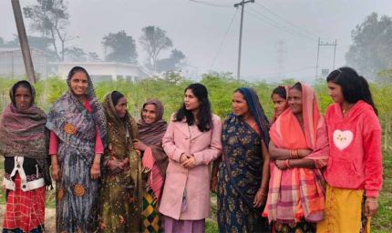 सीएम योगी का विजन : मोरिंगा से आत्मनिर्भर बन रहीं यूपी की बेटियां