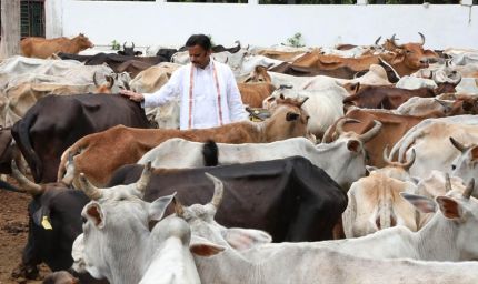 विकसित भारत का कृषि मॉडल: गौ-आधारित प्राकृतिक खेती और स्वस्थ जीवन