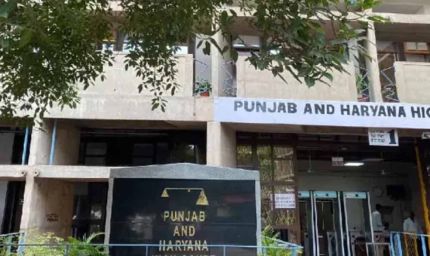 पर्यावरण संरक्षण पर हाई कोर्ट सख्त, पंजाब में बिना विशेष अनुमति पेड़ काटने पर पूरी तरह रोक