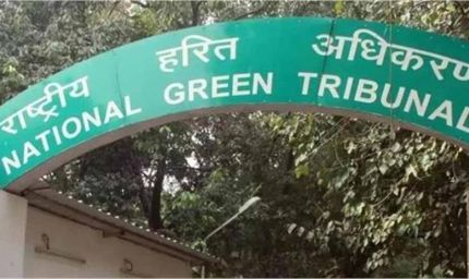 पंजाब के जल संकट पर NGT सख्त, सरकार से मांगी विस्तृत रिपोर्ट