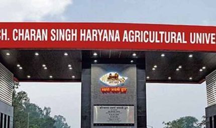 जीवनभर संघर्ष करता रहा अधिकारी, मौत के बाद मिली तरक्की की मुहर