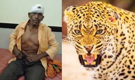 ग्रामीण पर तेंदुए का हमला, जंगल से नीम की पत्तियां लेने गया था