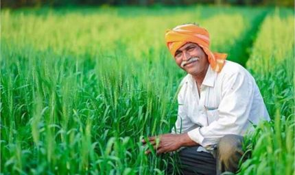 हरियाणा सरकार का बड़ा फैसला: अब ट्रैक्टर नहीं बनेगा किसानों के हक की योजनाओं में रोड़ा