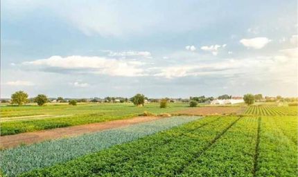 अब नहीं होगी देरी! भूमि बंटवारे के मामलों का होगा फास्ट ट्रैक निपटारा, हरियाणा सरकार का बड़ा फैसला