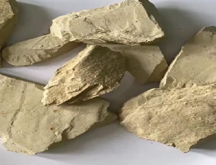 देसी मुल्तानी मिट्टी ने बढ़ाया भारत का मान, अमेरिका-जापान चुकाते हैं भारी कीमत