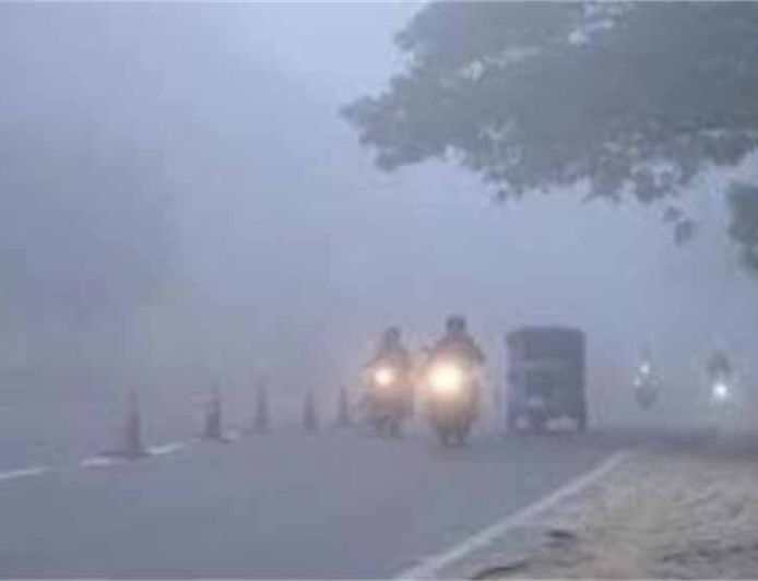 हरियाणा के किसानों के लिए राहत की खबर: कोहरे वाला मौसम इन फसलों को देगा जबरदस्त फायदा