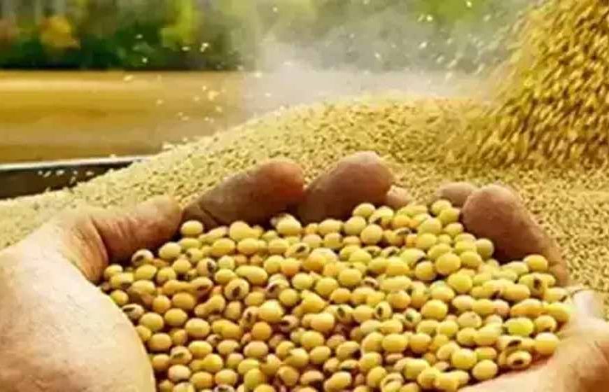 भावांतर योजना में सोयाबीन का मॉडल रेट 4239 रुपए जारी