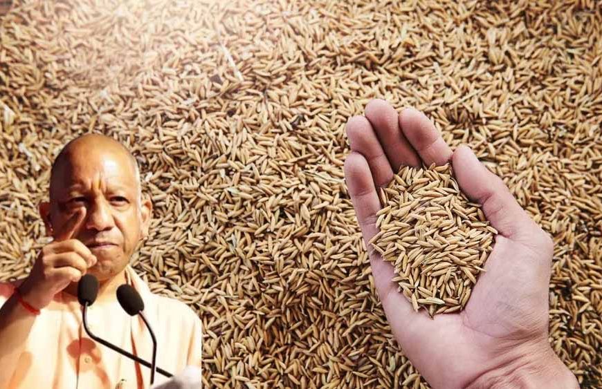 खेती से लेकर कारखानों तक, विकास का रोल मॉडल बन रहे यूपी के ग्रामीण क्षेत्र