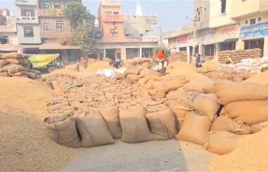 गोहाना अनाज मंडी में बासमती के दाम उछले, किसानों के चेहरे खिले
