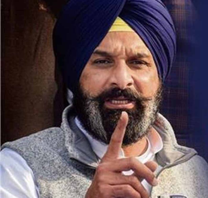 बिक्रम सिंह मजीठिया की जमानत याचिका पर हाईकोर्ट ने सुनाया बड़ा फैसला