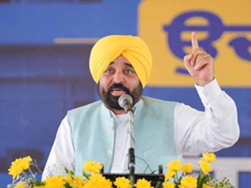 बाढ़ प्रभावित डेयरी किसानों को बड़ी राहत: मान सरकार ने 59 लाख रुपये की मदद स्वीकृत की