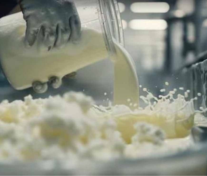 हरियाणा में दुग्ध क्रांति की तैयारी! सरकार हर गांव में बनाएगी दुग्ध उत्पादक सोसायटी