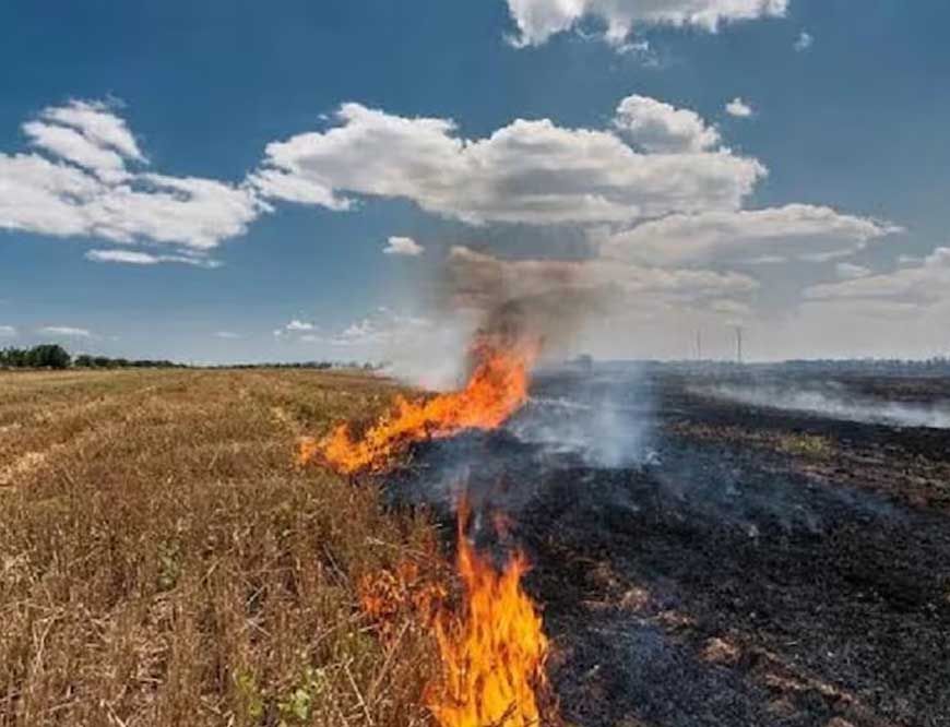 पराली जलाने में देश में सबसे आगे मध्य प्रदेश, किसानों को जागरूक करना बेअसर