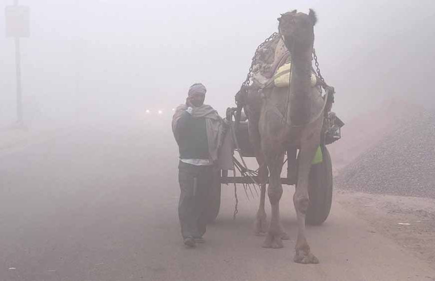 राजस्थान में कड़ाके की ठंड! फतेहपुर का पारा जीरो के करीब, IMD का अलर्ट जारी