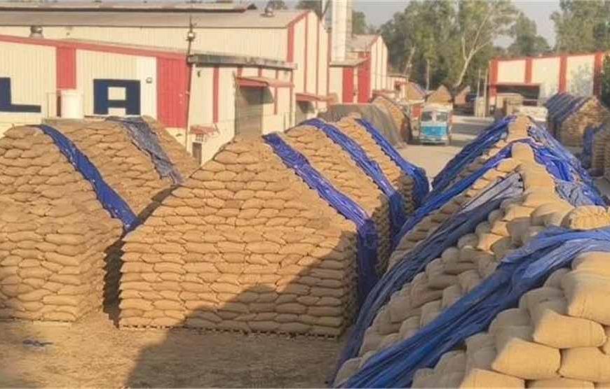यमुनानगर धान घोटाला: 62 करोड़ की हेराफेरी में संदीप सिंगला गिरफ्तार, पत्नी अब भी फरार