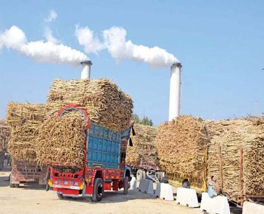 कैलारस शुगर मिल नए साल से पहले हो सकता है चालू, 10 हजार किसान देंगे गन्ना