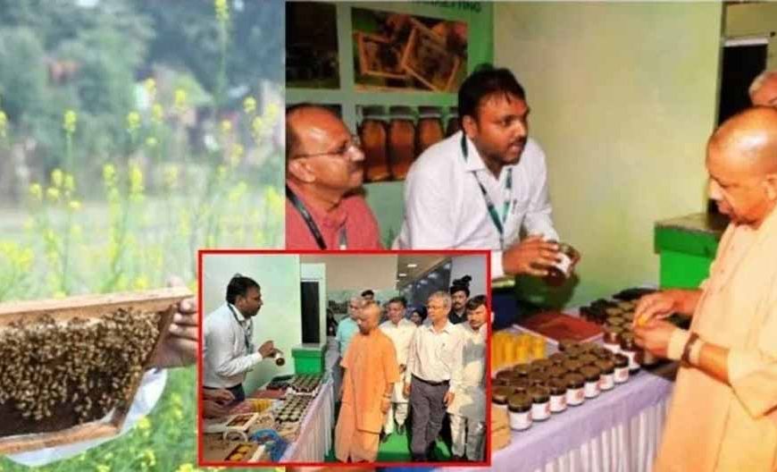 बाराबंकी की शहद उत्पादक मधुमक्खीवाला फर्म को मिली ग्लोबल पहचान, न्यूज़ीलैंड के प्रतिनिधि दल ने किया निरीक्षण