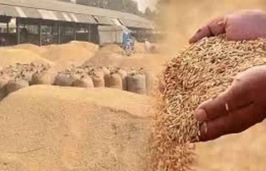 प्रदेश में धान खरीदी का महाअभियान तेजी के साथ जारी