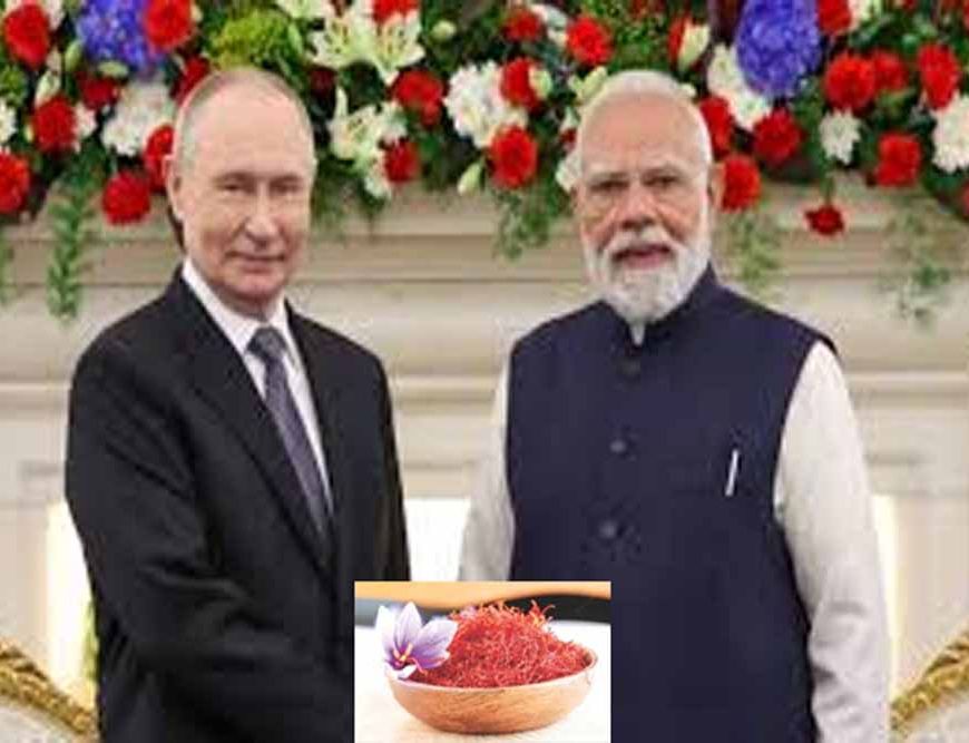 पीएम मोदी का पुतिन को तोहफा बना खास संदेश, कश्मीरी केसर से चमकी जम्मू-कश्मीर के किसानों की उम्मीद