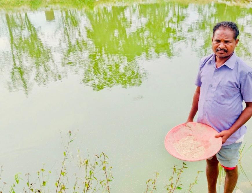 रायपुर : डबरी बनी खुशहाली की राह : किसान हिरमाराम की आमदनी हुई दोगुनी, सालाना बढ़ी एक लाख रुपये तक