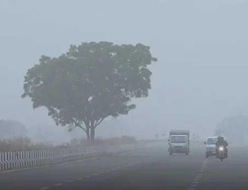 राजस्थान में सर्दी का कहर: शेखावाटी में शीतलहर, 4 जिलों में येलो अलर्ट