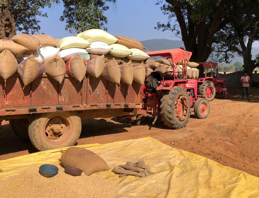 रायपुर : उपार्जन केंद्रों में धान खरीदी सुचारू रूप से जारी