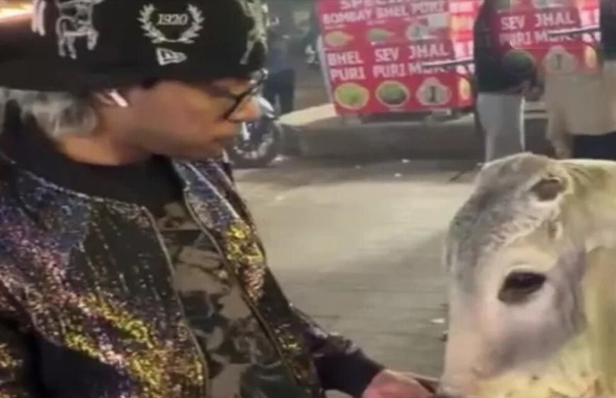 गुरुग्राम में पकड़ा गया गाय को चिकन मोमोज खिलाने वाला यूट्यूबर, कहा- पैसे का था लालच