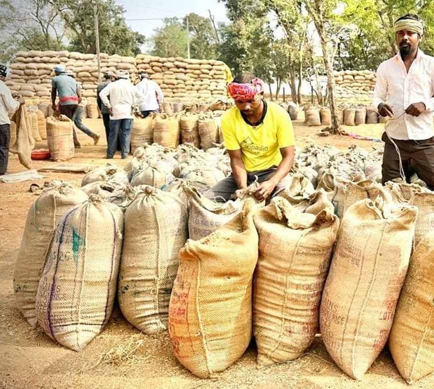 धमतरी में रिकॉर्ड रफ्तार से धान खरीदी, किसानों को 409 करोड़ का हुआ भुगतान