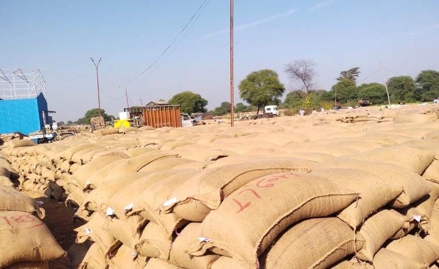 महासमुंद : धान खरीदी केंद्रों में अव्यवस्था पर तीन प्राधिकृत अधिकारी पद से पृथक