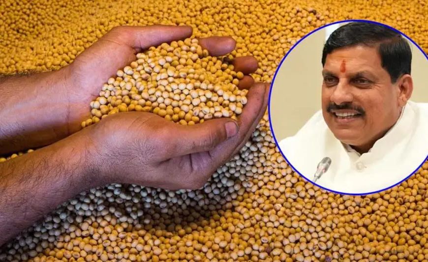 मोहन सरकार के दो साल: मध्य प्रदेश में खाद्यान्न उत्पादन में रिकॉर्ड 55 लाख टन की वृद्धि, खेती में नया कीर्तिमान