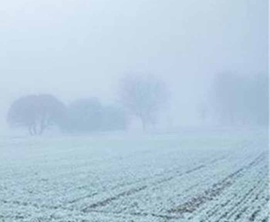 पंजाब के 13 जिलों में येलो अलर्ट जारी, 16 दिसंबर तक मौसम को लेकर IMD की बड़ी चेतावनी