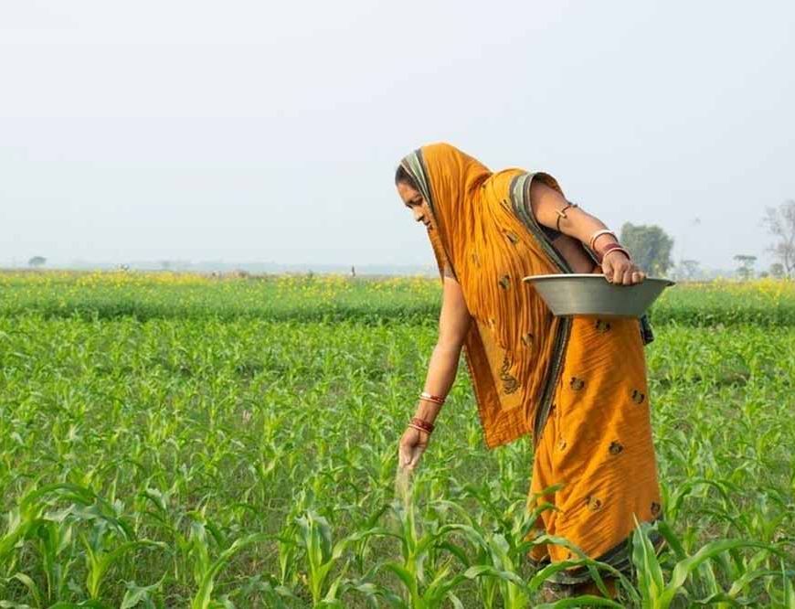 भविष्य की खेती: आधुनिक तकनीक के साथ कैसे बदलेगी खेती और क्या होगी शिक्षा की निर्णायक भूमिका
