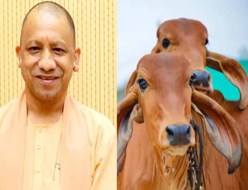 समृद्धि की राह दिखा रही योगी सरकार की नंदिनी कृषक समृद्धि योजना