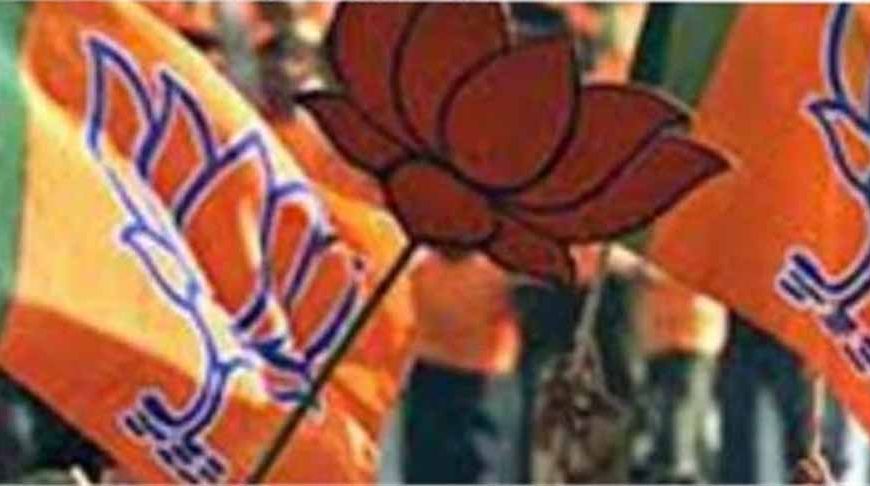 पंजाब की ग्रामीण सियासत में BJP का बड़ा दांव, ब्लॉक समिति चुनाव में दर्ज की जीत