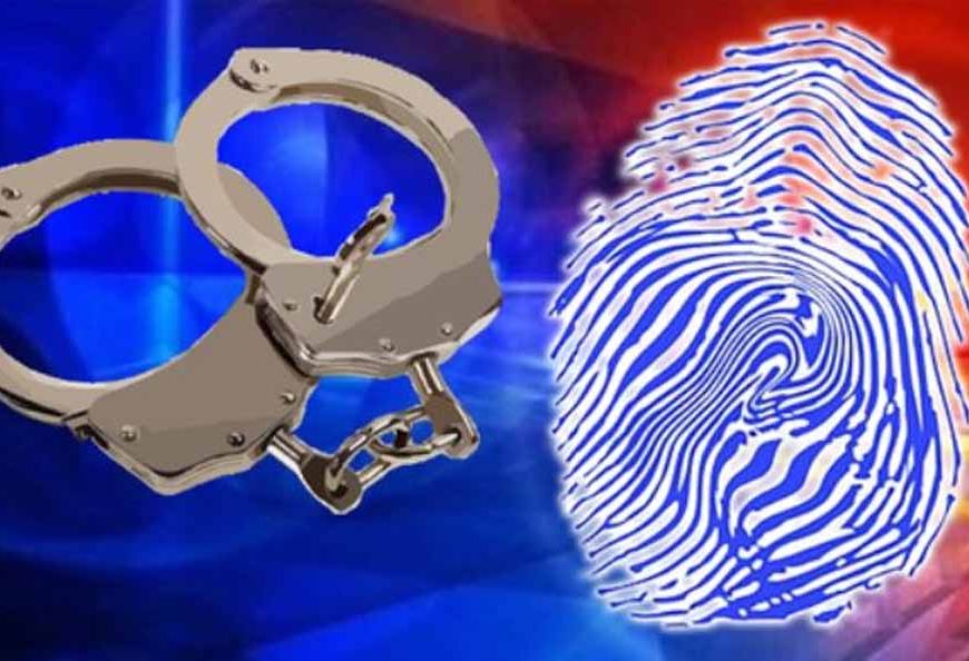 नोएडा पुलिस की बड़ी कार्रवाई: मोबाइल चोरी–स्नैचिंग गिरोह का पर्दाफाश, ₹2 करोड़ का इलेक्ट्रॉनिक सामान बरामद