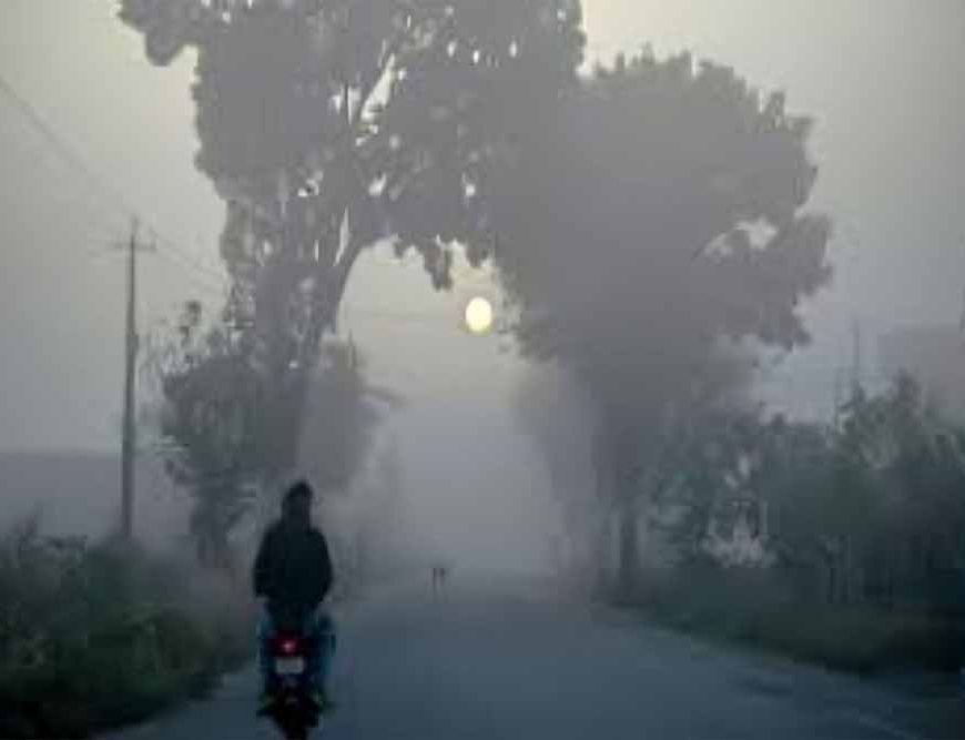 झारखंड में मौसम स्थिर, सुबह घना कोहरा और रात की ठंड बरकरार; IMD ने ड्राइवर्स के लिए जारी की एडवाइजरी
