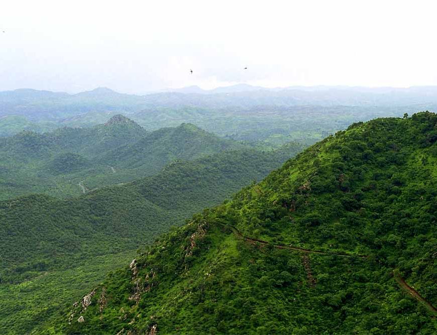 अरावली पर क्यों दिल्ली से राजस्थान तक छिड़ा विवाद, क्या हैं बढ़ती चिंताएं?