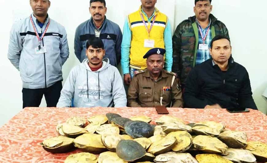 दून एक्सप्रेस में कछुआ तस्करी का पर्दाफाश, 48 जीवित कछुए बरामद