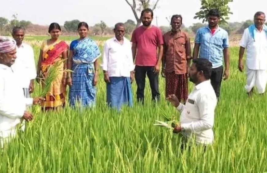 10 दिन में 6.98 लाख किसानों को किया गया प्रशिक्षित