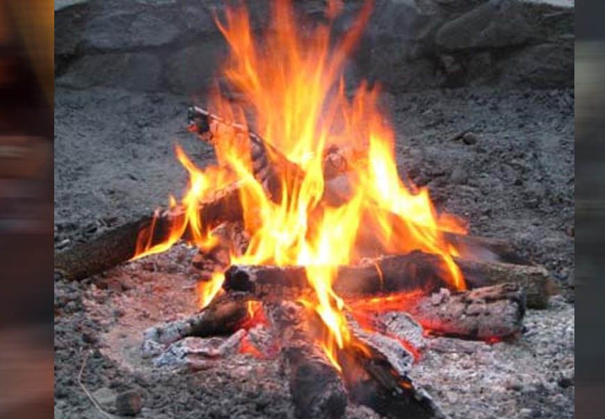 नए साल पर झटका: टाइगर रिज़र्व के रिसॉर्ट्स और होटलों में अब नहीं जलेगा अलाव, सुप्रीम कोर्ट ने लगाया रोक
