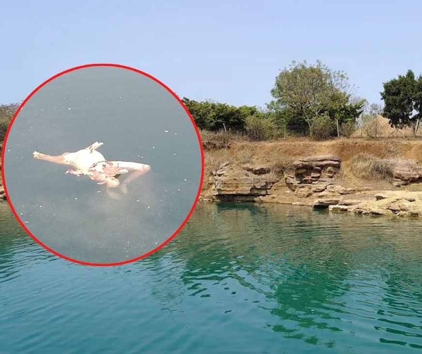 रायपुर भयानक मर्डर, सिर गायब, दोनों हाथ कटे शव से सनसनी