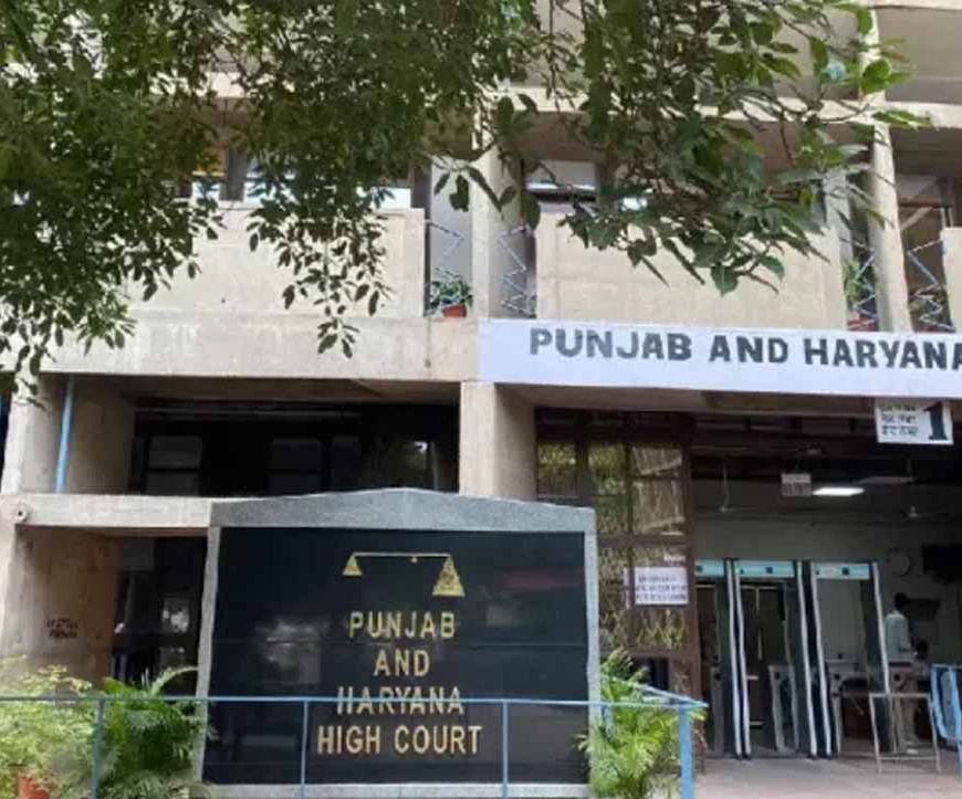 पर्यावरण संरक्षण पर हाई कोर्ट सख्त, पंजाब में बिना विशेष अनुमति पेड़ काटने पर पूरी तरह रोक